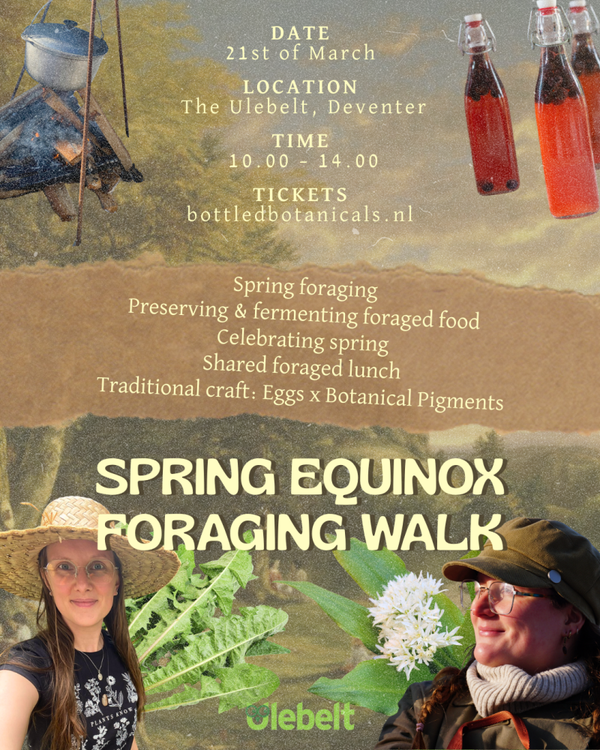 SPECIALE EDITION Seasonal immersive celebration