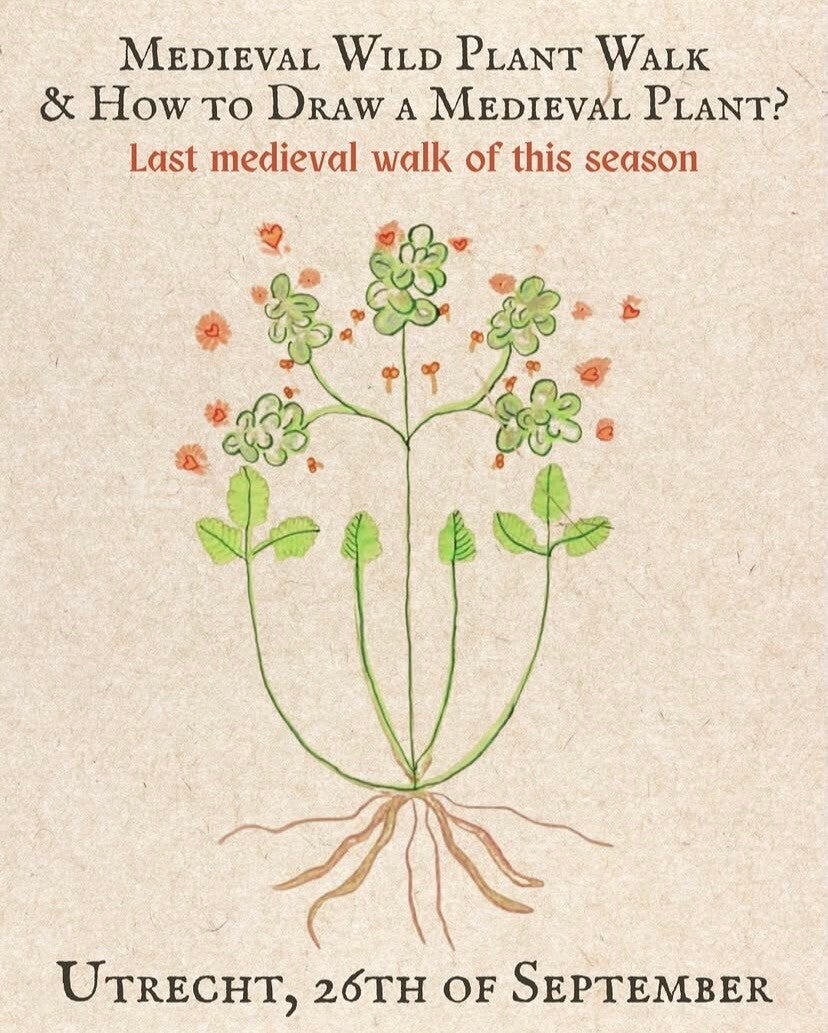 Medieval Plant Walk Utrecht