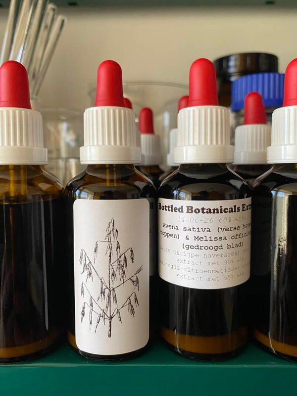 Milky Oat & Lemon Balm Extract (Avena sativa & Melissa officinalis)
