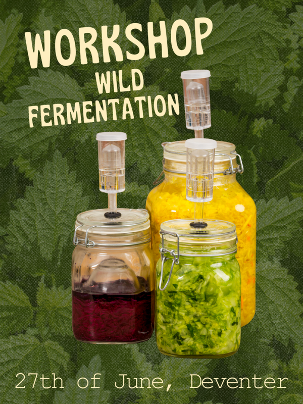 Workshop Wild Fermentation