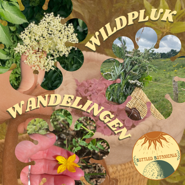 Zomer Wildplukwandeling
