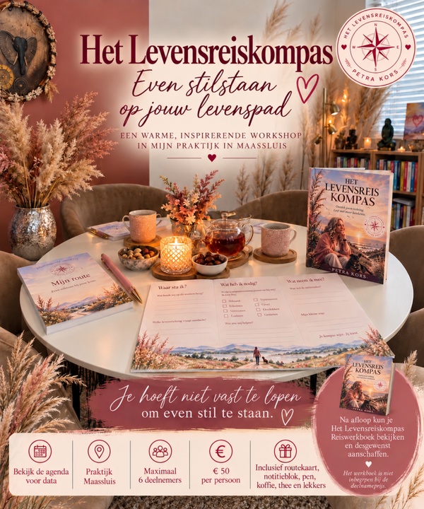 21 nov middag Workshop Het Levensreiskompas