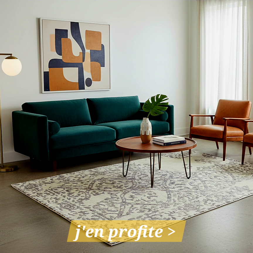 Tapis Designer - Tapis Salons | Tapis Villa