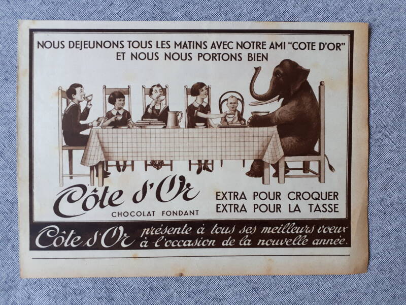 Nous dejeunons tous les matins avec notre ami Cote d&#039;Or et nous nous portons bien