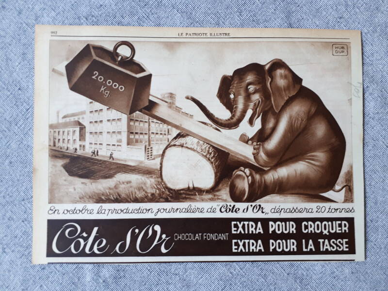 En Octobre la production journalière dépassera 20 tonnes