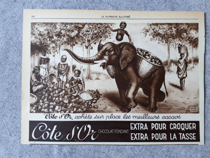 Achète sur place les meilleurs cacaos