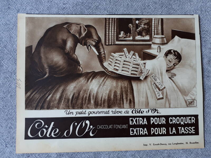 Un petit gourmet rêve