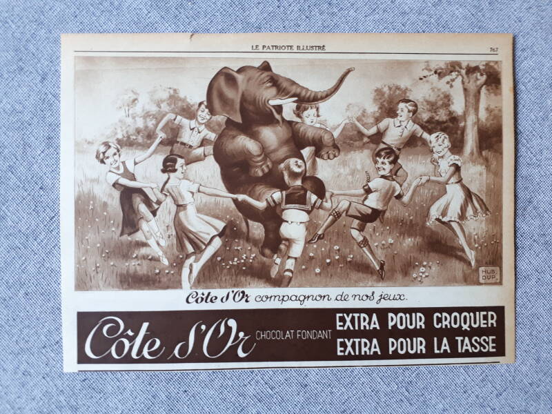 Compagnon de nos jeux