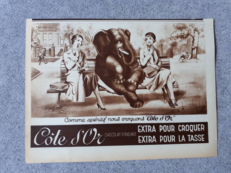 Comme apéritif nous croquons Cote d&#039;or