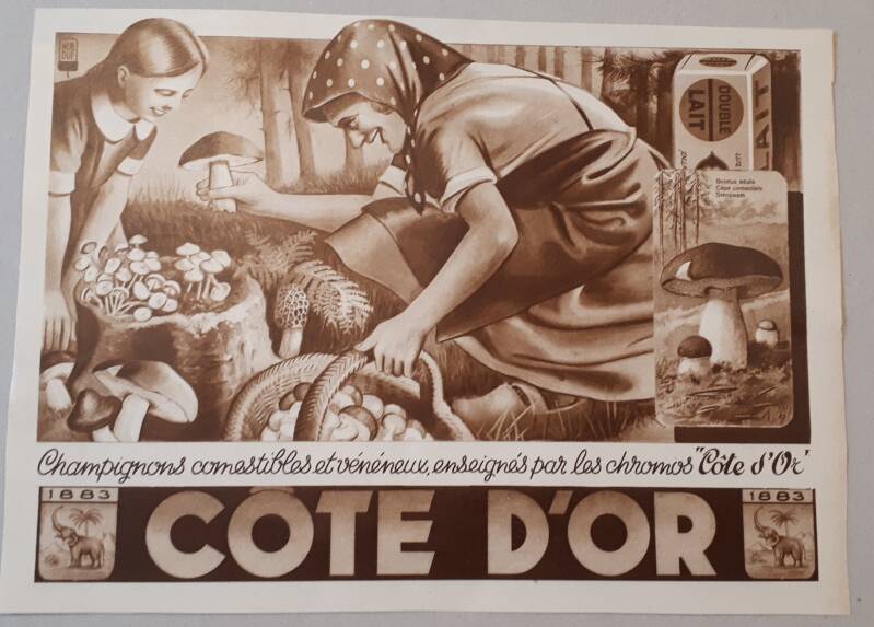 champignons comestibles et vénéneux enseignés par les chromo&#039;s cd