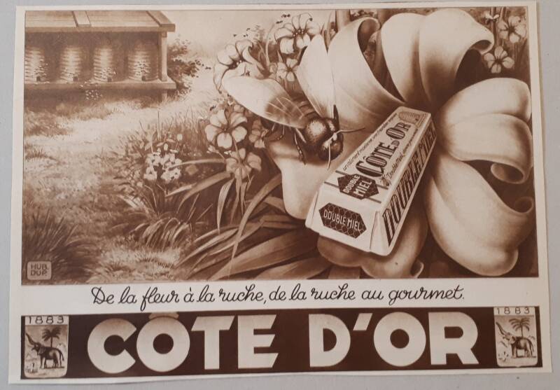 de la fleur à la ruche, de la ruche au gourmet