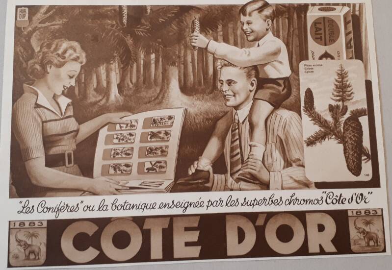 les conifères ou la botanique enseigné par les superbes chromo&#039;s cd