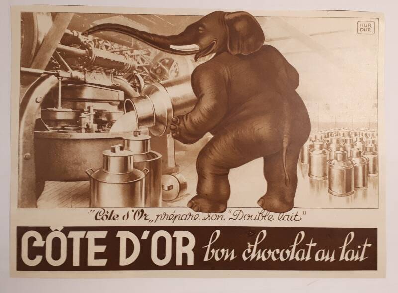 CD prépare son &quot;double lait&quot;