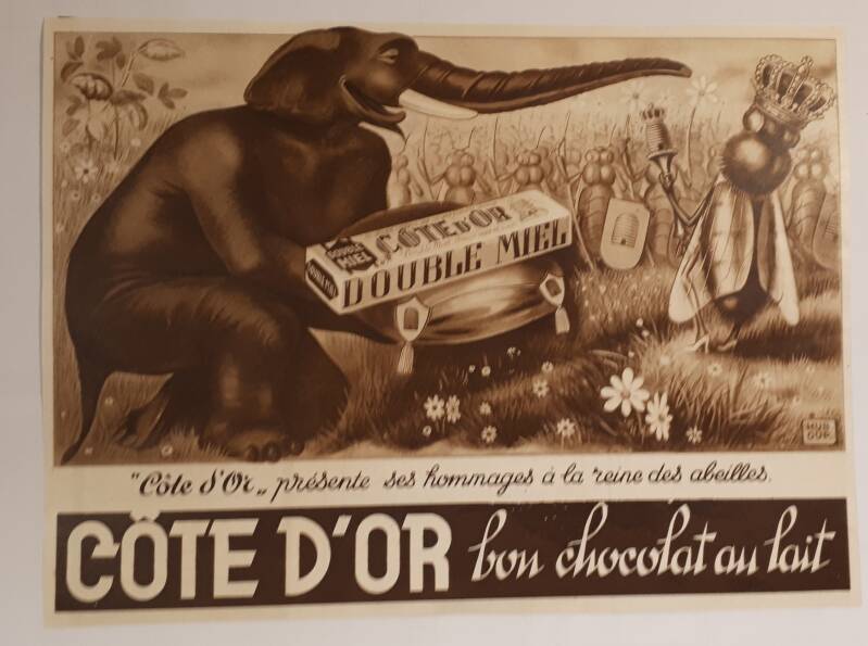 CD présente ses hommages à la reine des abeilles