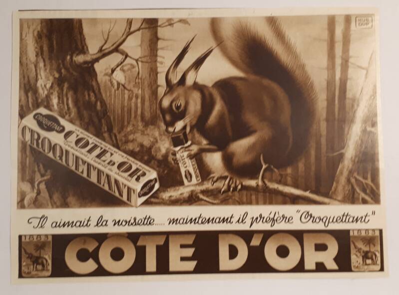 Il aimait la noisette ....maintenant il préfère &quot;Croquettant&quot;