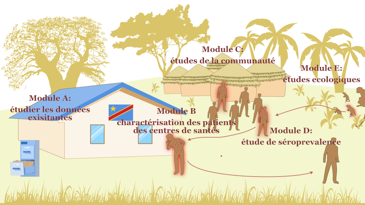 MBOTE-Maniema / Projects | Mpox Biology, Outcome, Transmission and ...
