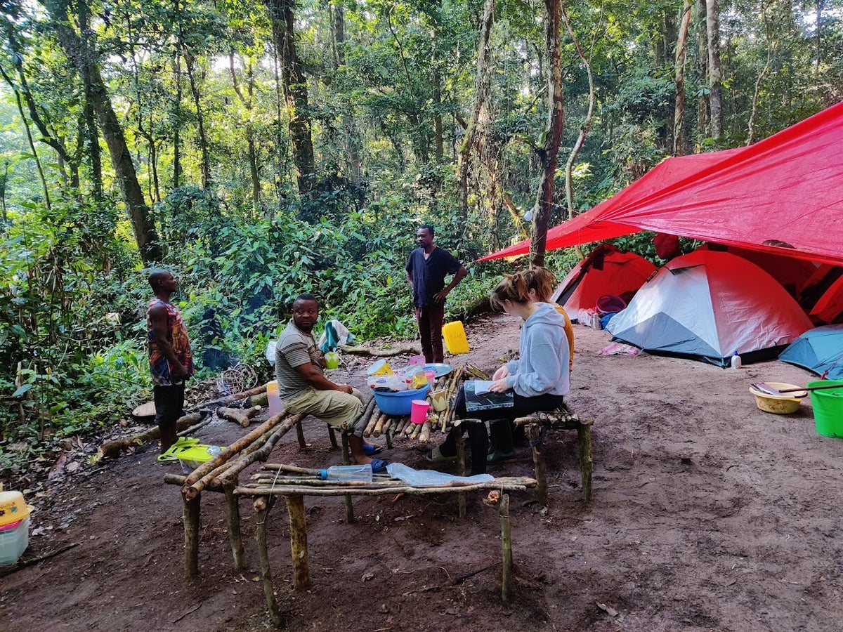 MBOTE-Maniema / Projects | Mpox Biology, Outcome, Transmission and ...
