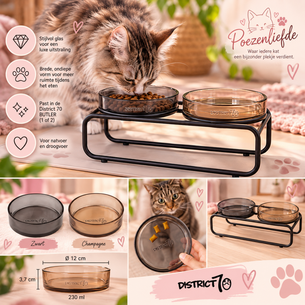 District 70 DAWN Glazen Kattenvoerbak – 230 ml