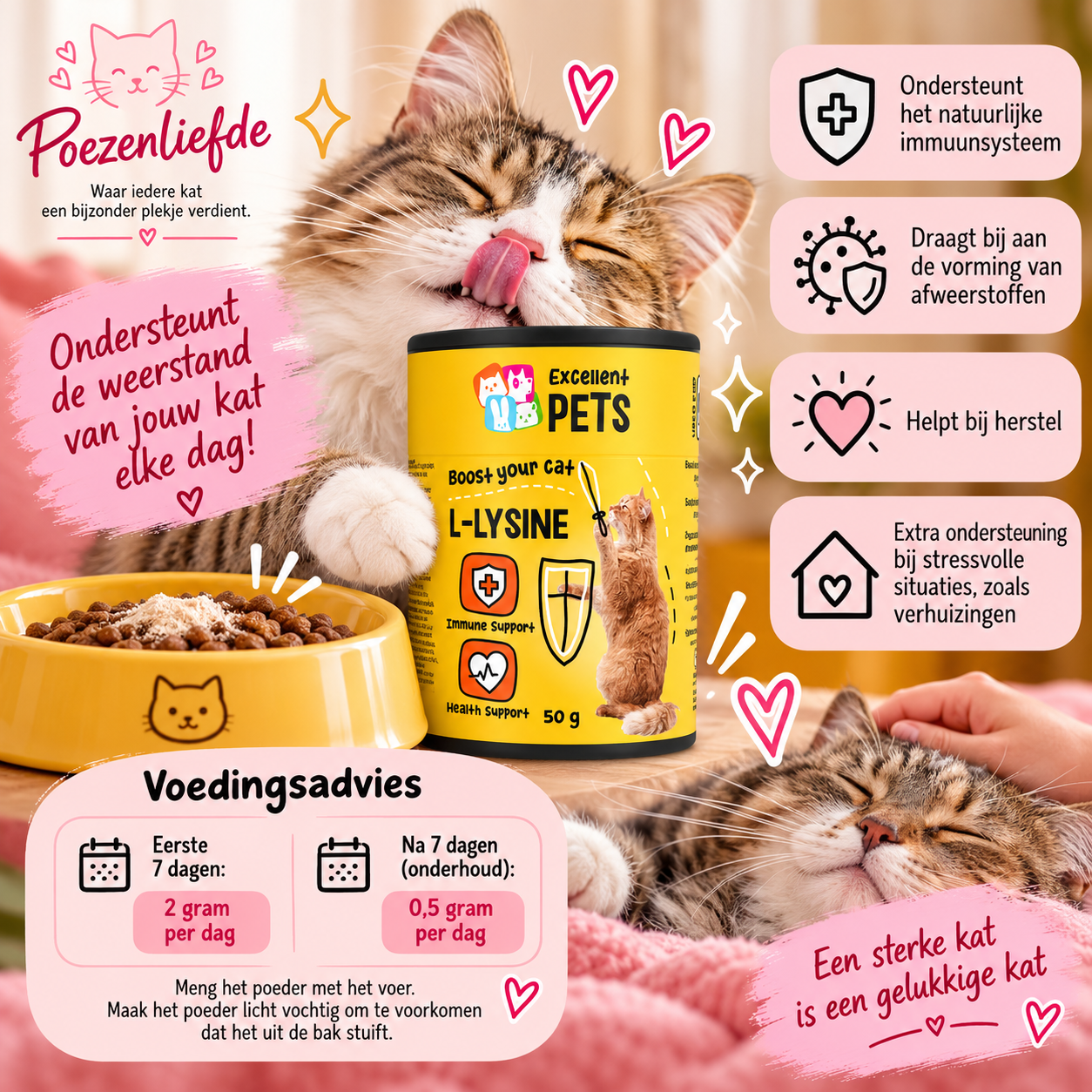 Excellent Pets L-Lysine – 50 g