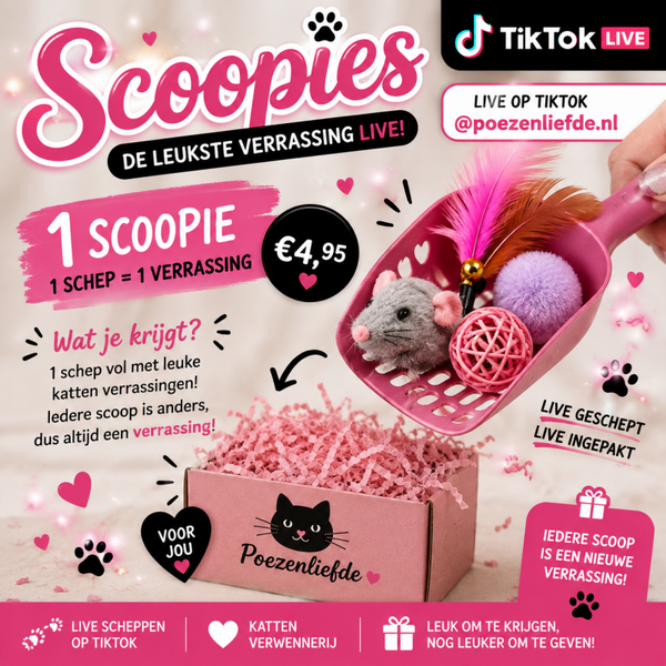 1 Scoopie
