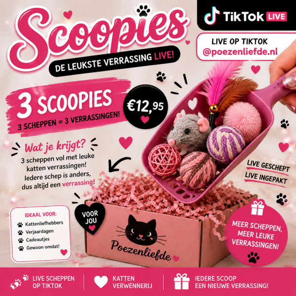 3 Scoopies
