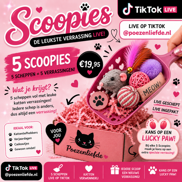5 Scoopies