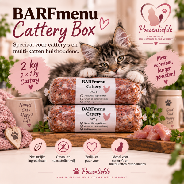 BARFmenu Cattery Box Kat – 2 × 1 kg