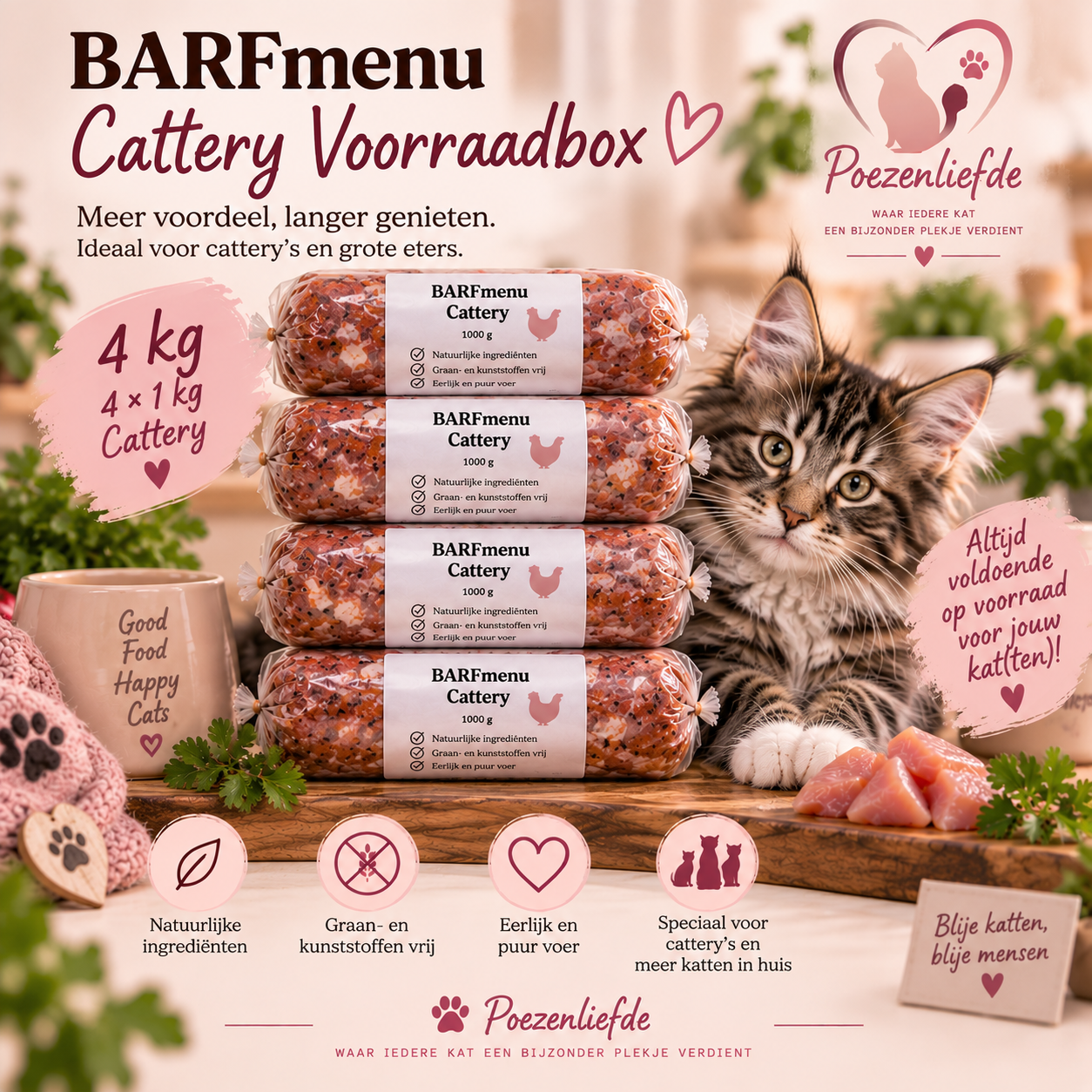 BARFmenu Cattery Voorraadbox Kat – 4 × 1 kg
