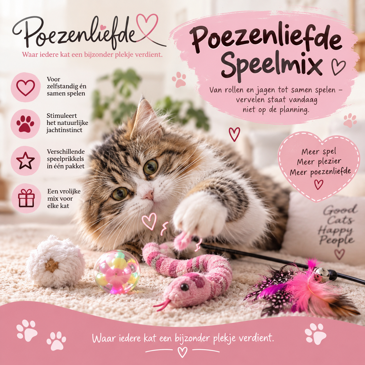 🐾 Poezenliefde Speelmix