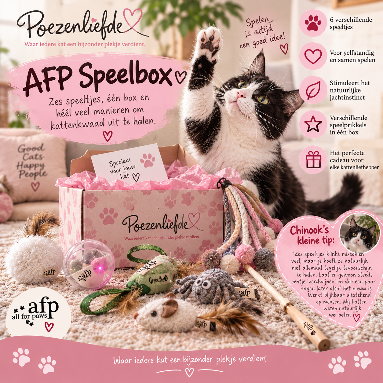 AFP Speelbox 🐾