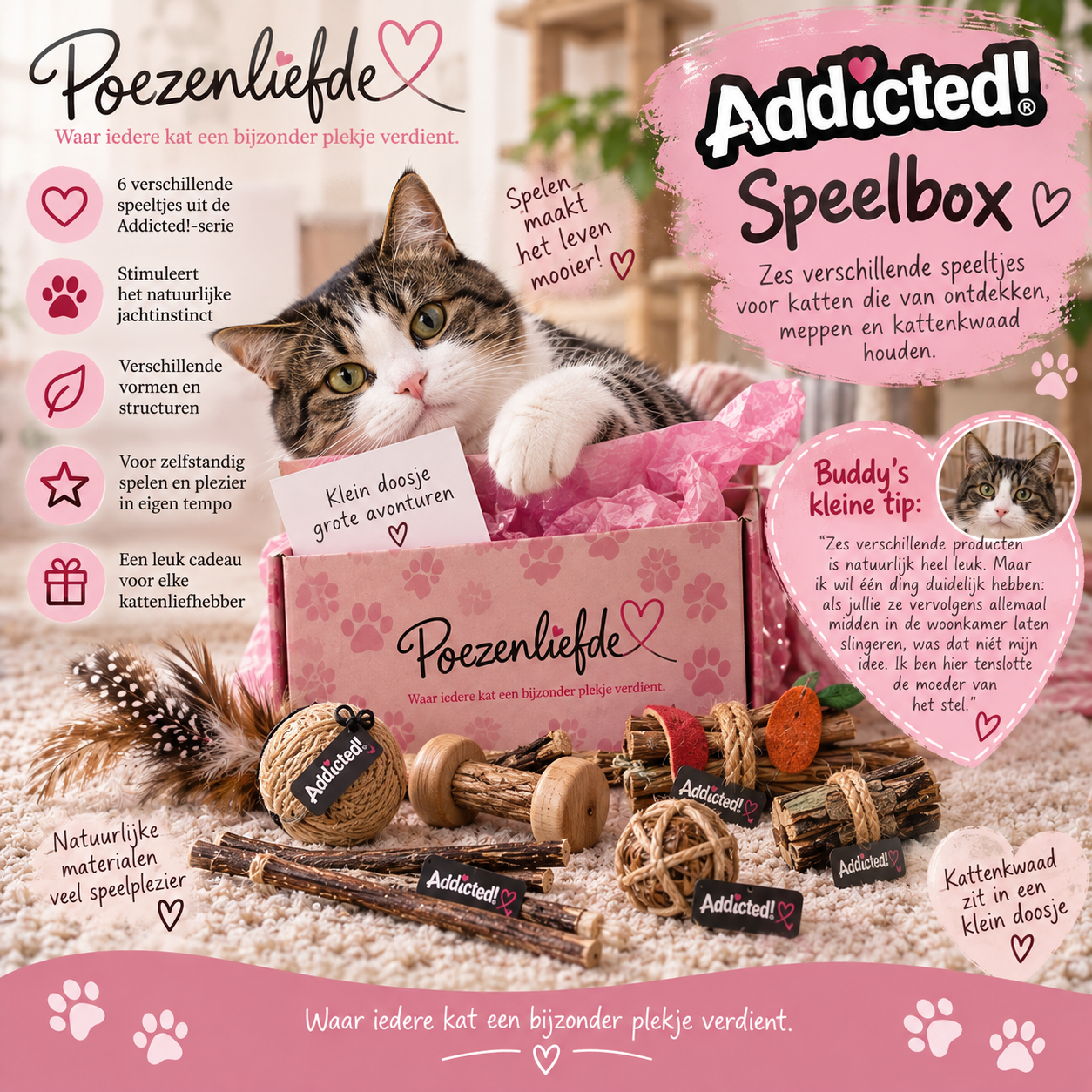 Addicted! Speelbox 🐾