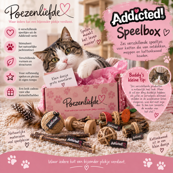 Addicted! Speelbox 🐾