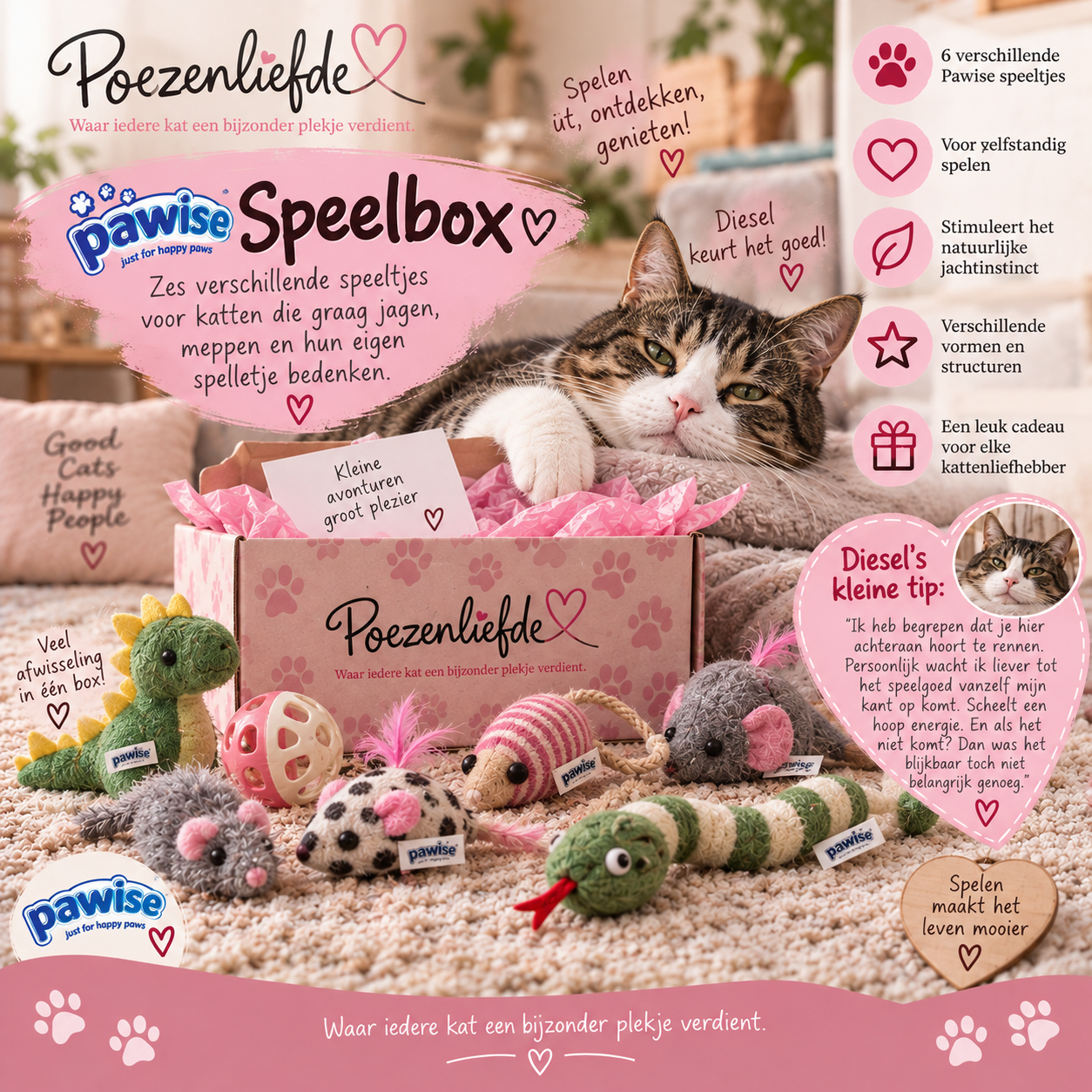 Pawise Speelbox 🐾