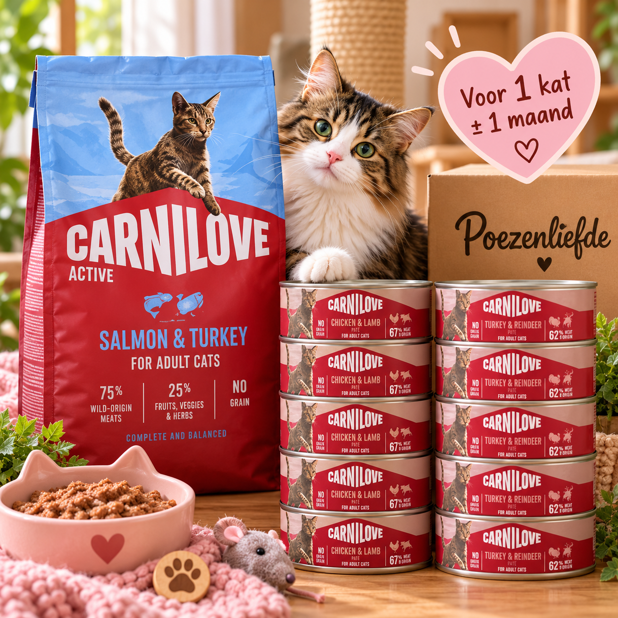 Poezenliefde Carnilove Maandbox Adult 🐾