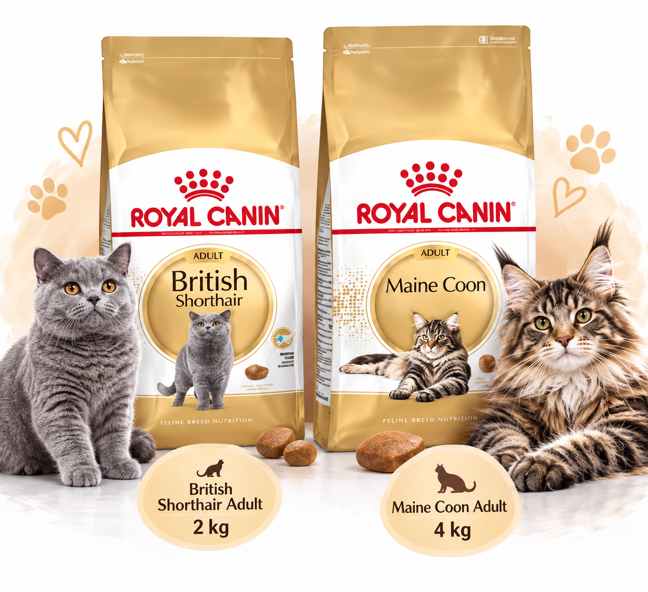 Royal Canin Rasvoeding – Maine Coon & British Shorthair 🐾