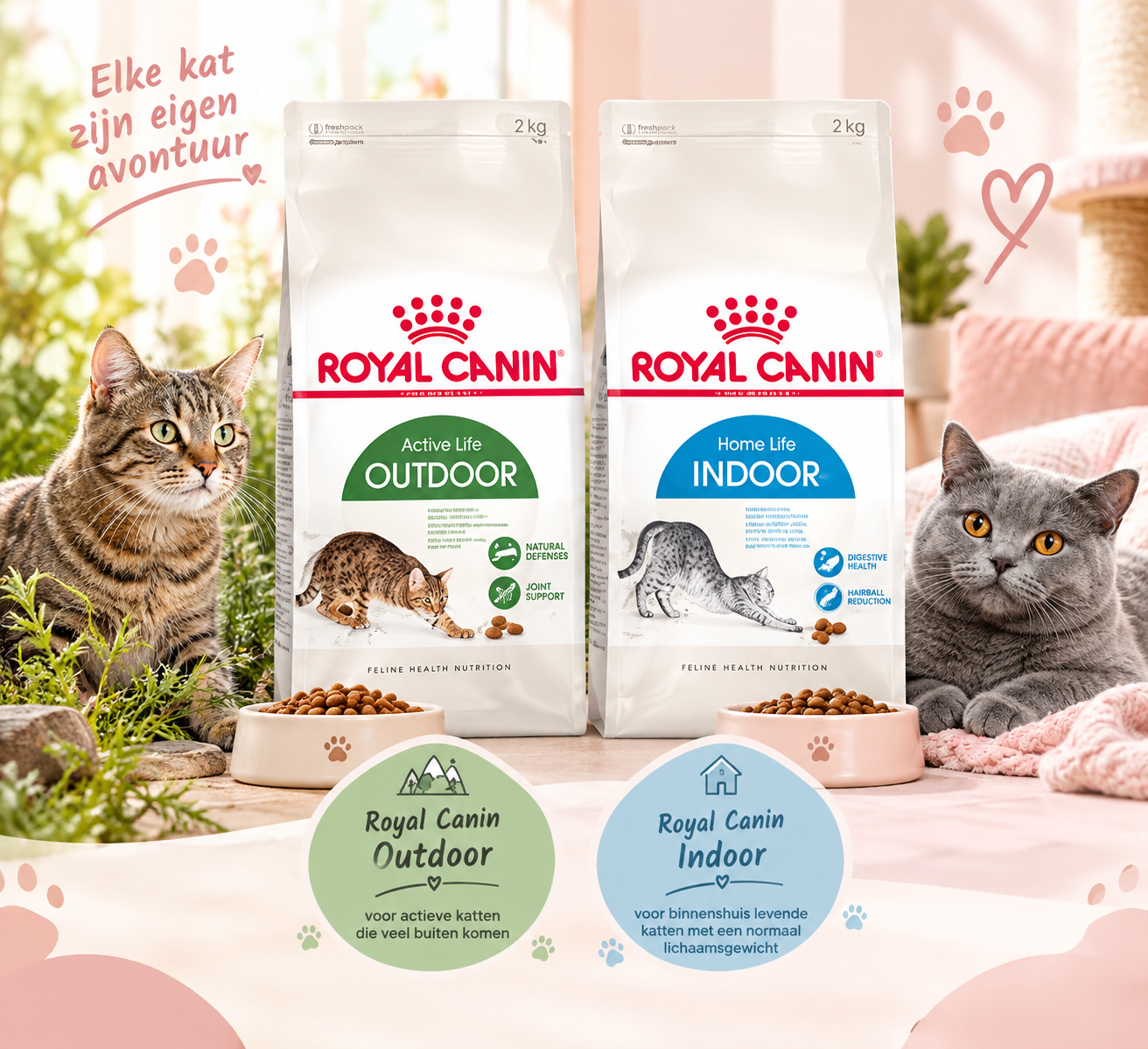 Royal Canin Indoor & Outdoor – voor binnen- en buitenkatten 🐾