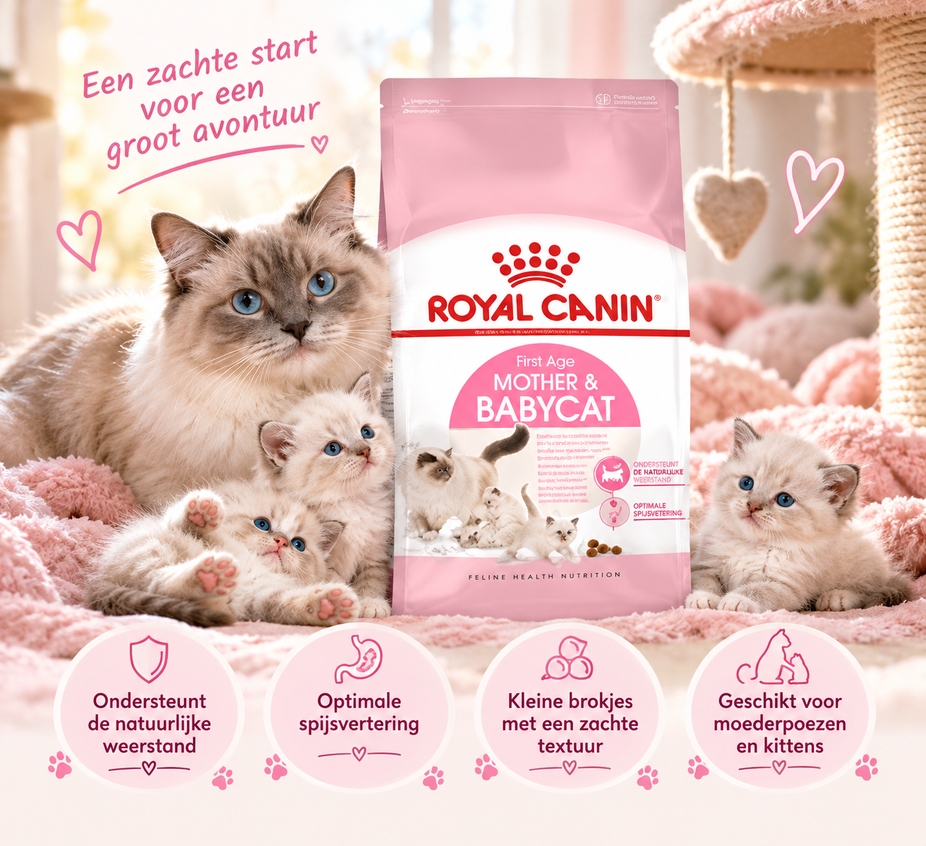 Royal Canin Mother & Babycat – eerste groeifase 🐾