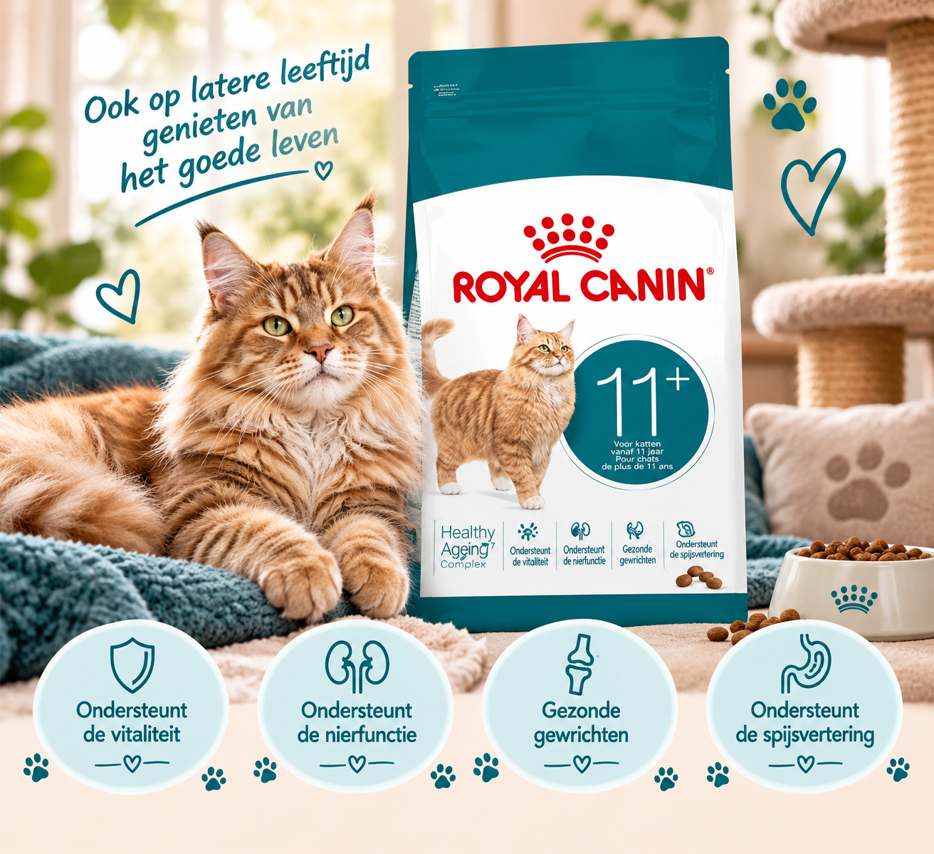 Royal Canin Ageing 11+ – senior kattenvoer 🐾