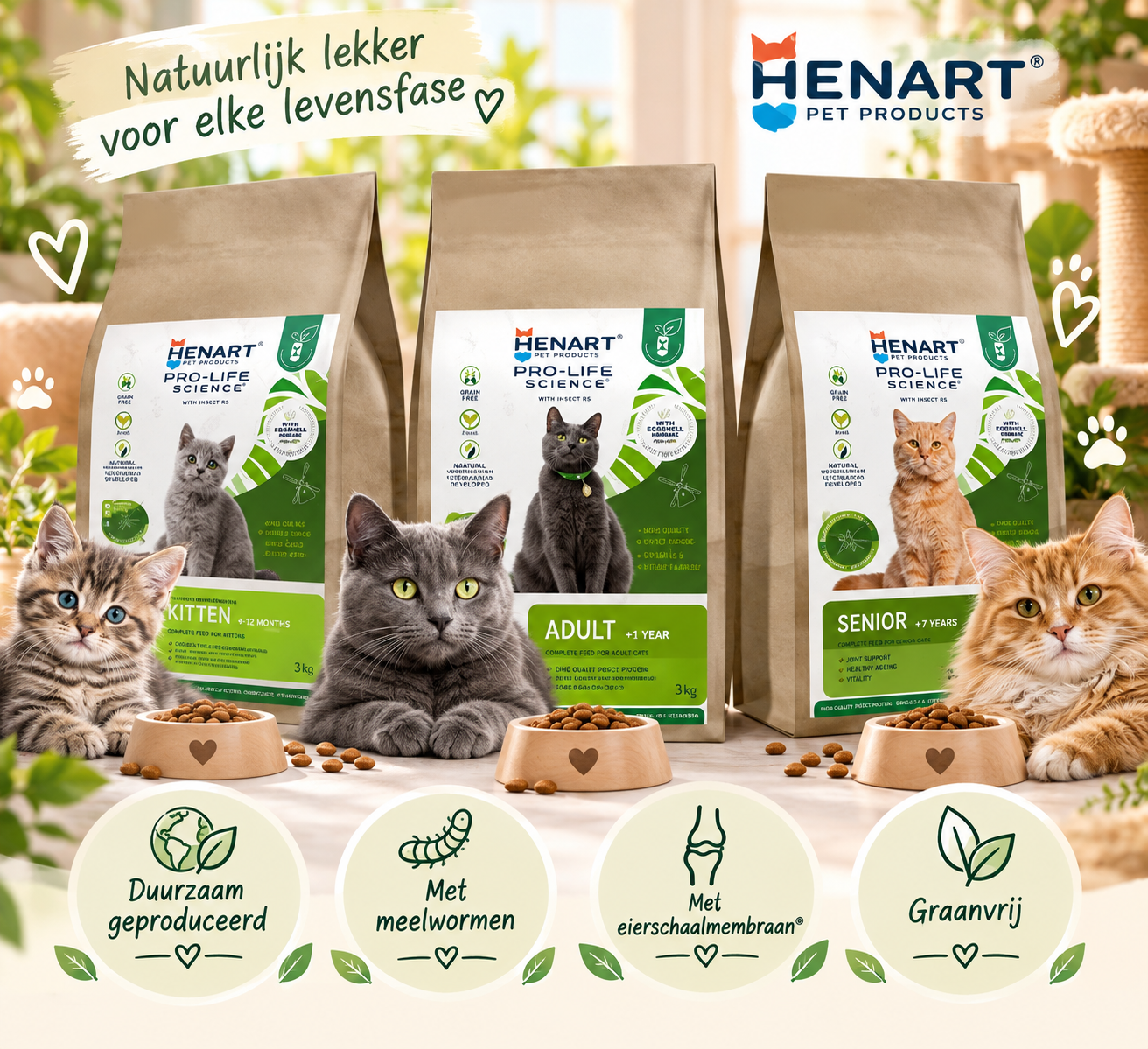 HenArt Insect Cat – Junior, Adult & Senior 🐛🐾