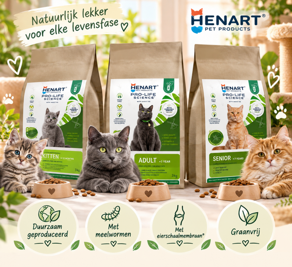 HenArt Insect Cat – Junior, Adult & Senior 🐛🐾