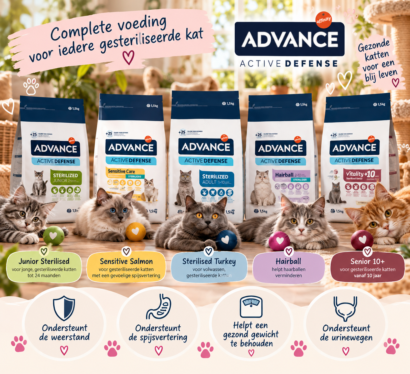 Advance Sterilised – voeding voor iedere levensfase 🐾