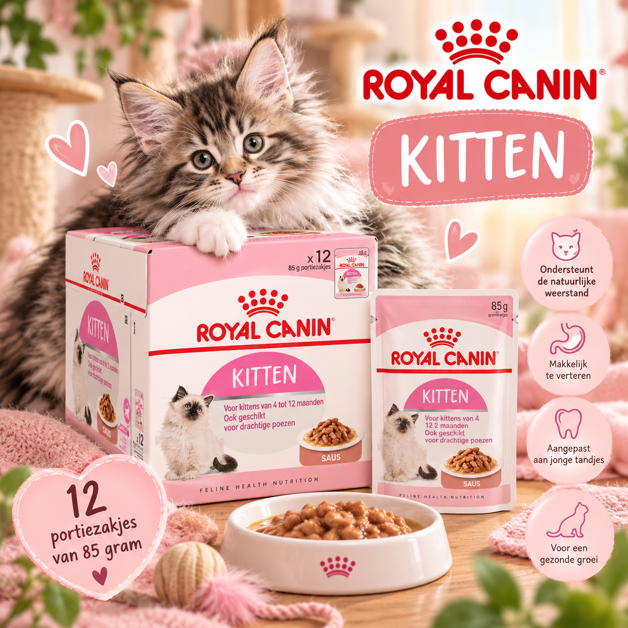 Royal Canin Kitten Wet – 12 × 85 g 🐾