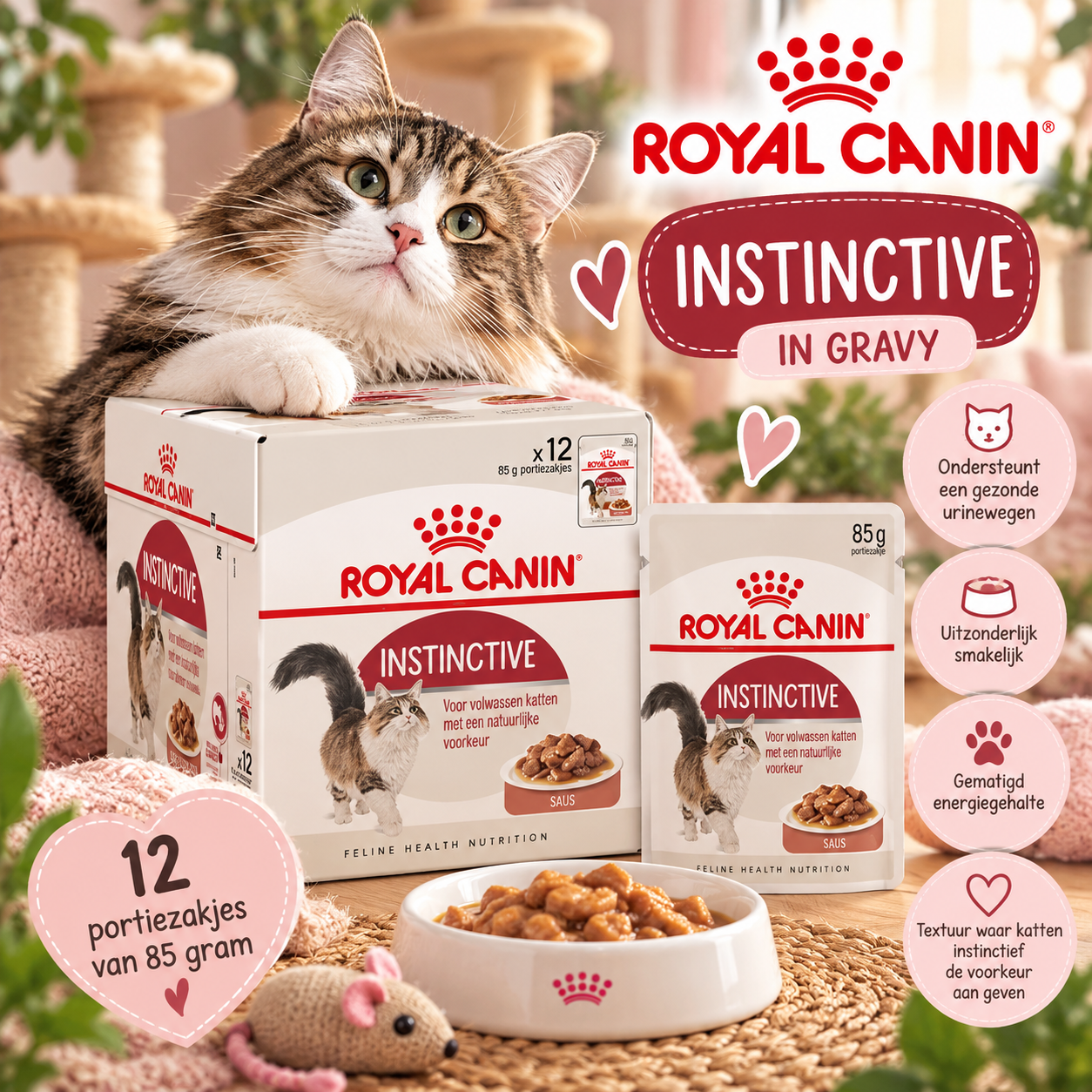Royal Canin Instinctive in Gravy – 12 × 85 g 🐾