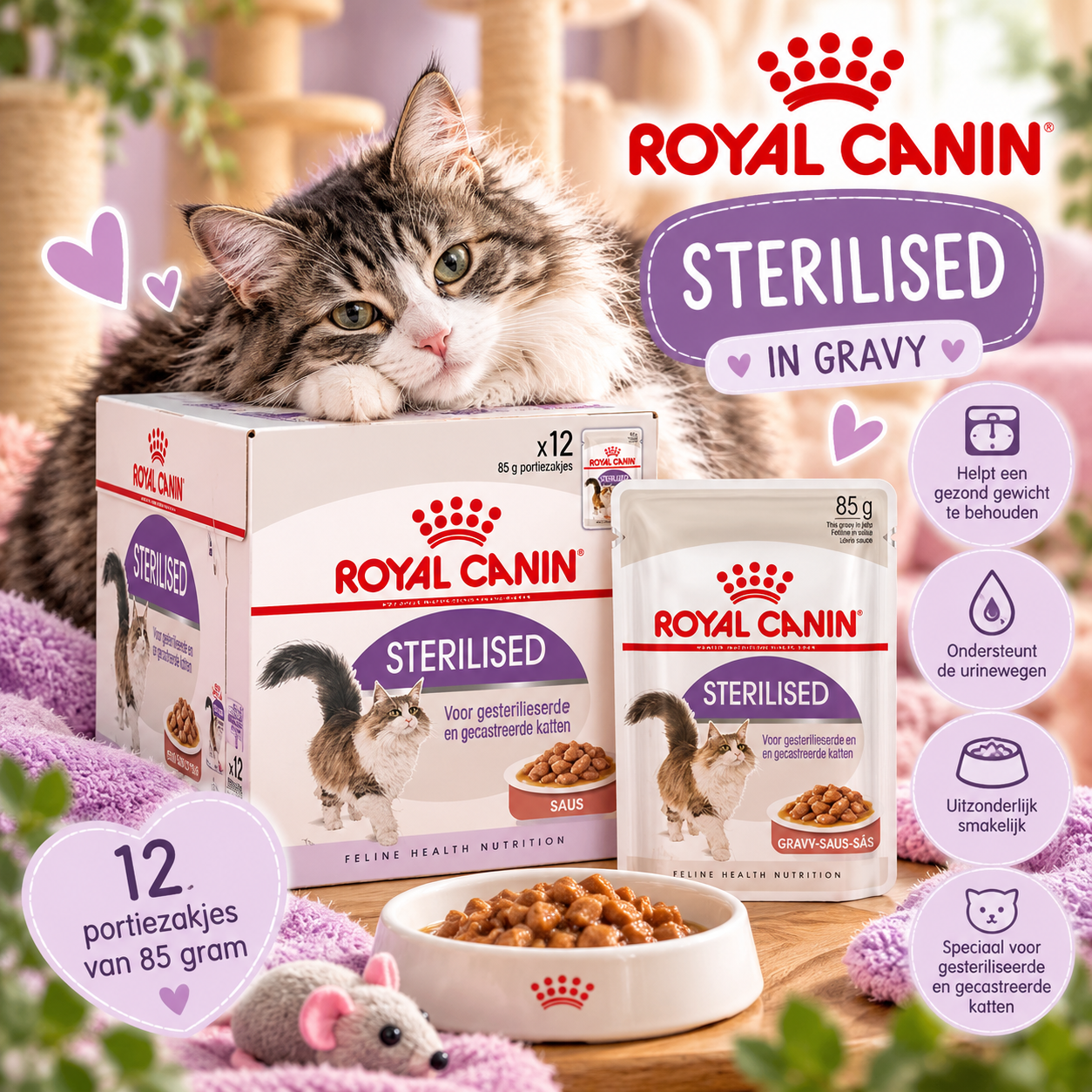 Royal Canin Sterilised in Gravy – 12 × 85 g 🐾
