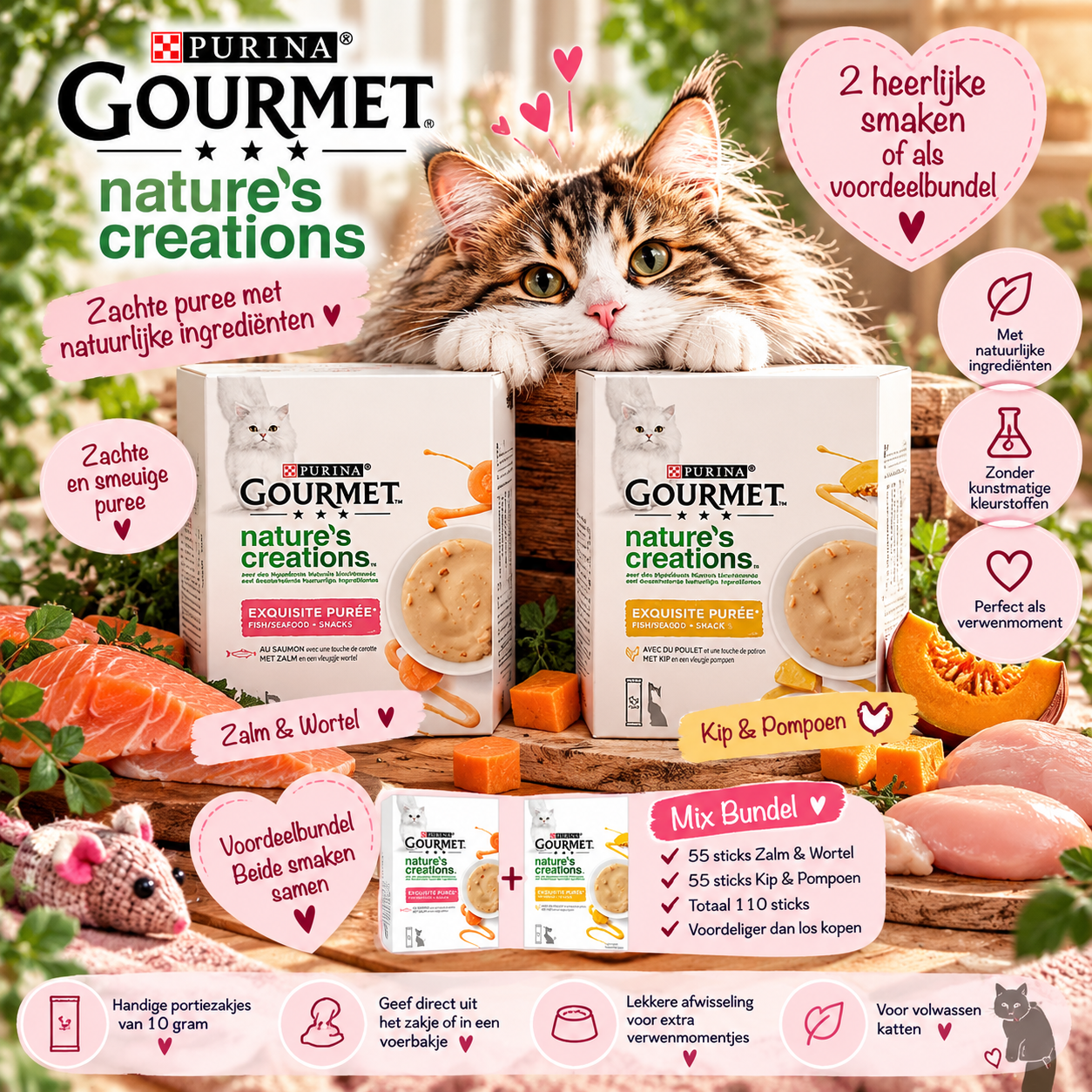 Gourmet Nature’s Creations Puree – Kip, Zalm & Voordeelbundel 🐾