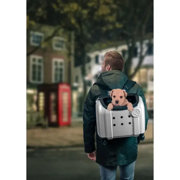 🐱 Compaws Trolley London 40 cm – Grijs