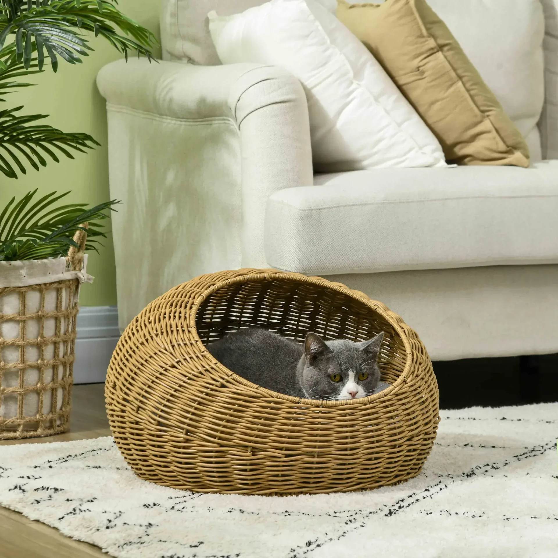 PawHut Rattan Cocon Kattenmand – beschut slapen met zacht kussen 🧺🐱