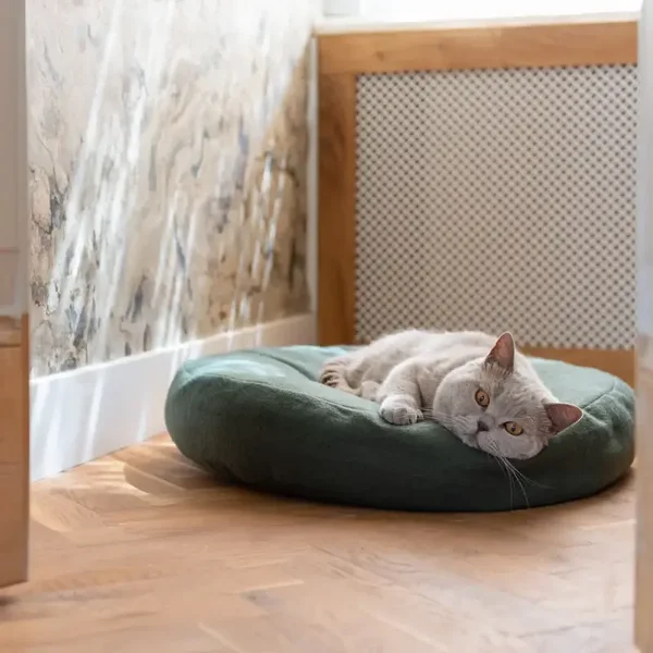 Hoopo Donut Kattenbed – heerlijk oprollen in stijl 🍩🐱