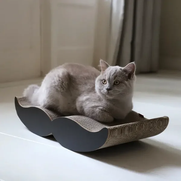 Hoopo Moustache – krabben met een flinke snor 😸