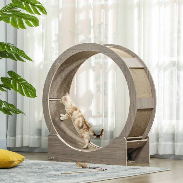 PawHut Kattenloopwiel – rennen zonder de woonkamer door te vliegen 🐱💨